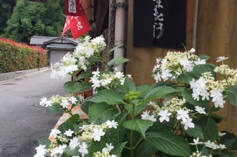 ブログ用写真　おみせ