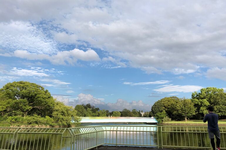 ブログ写真　公園虹