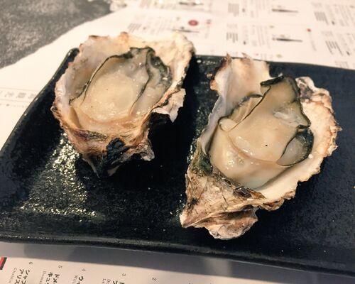 ブログ用写真　牡蠣７