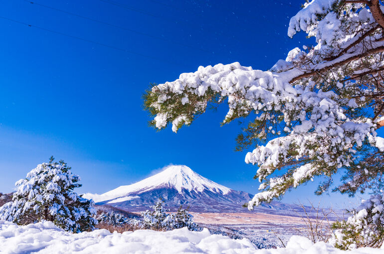 富士山