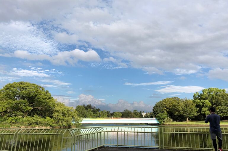 ブログ写真　公園虹
