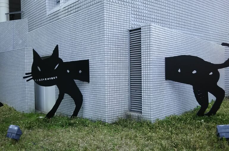 ブログ写真　ねこ