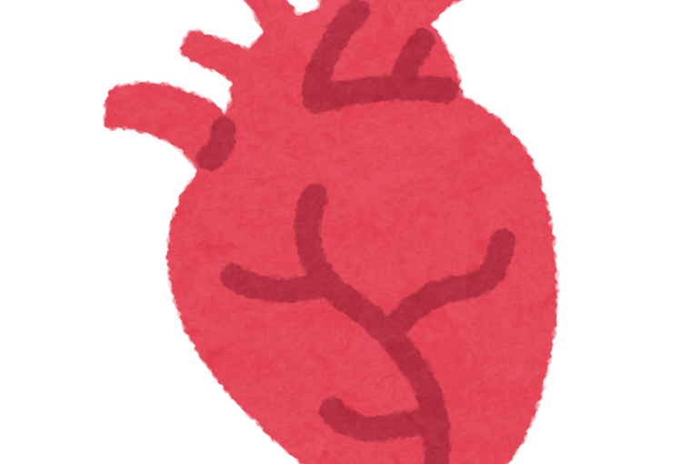 body_icon03_shinzou