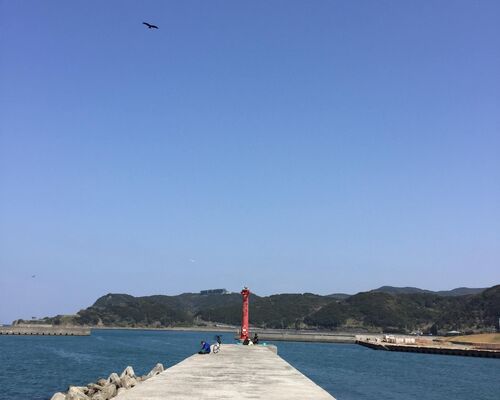 ブログ写真　和歌山　海