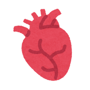 body_icon03_shinzou