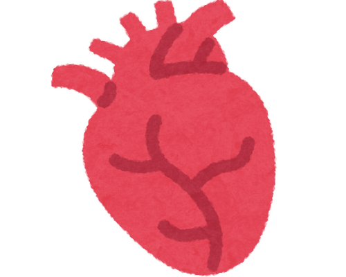 body_icon03_shinzou