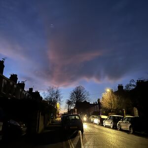 IMG_0291