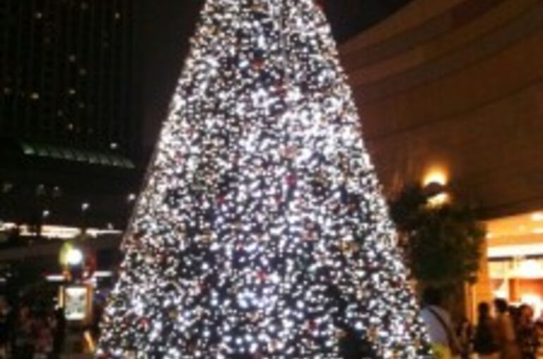 IMG_6718-225x300