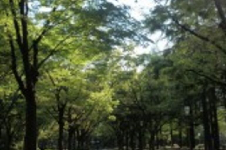 DSC_0512-168x300