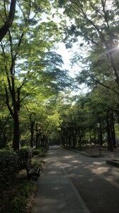 2014.4.24park